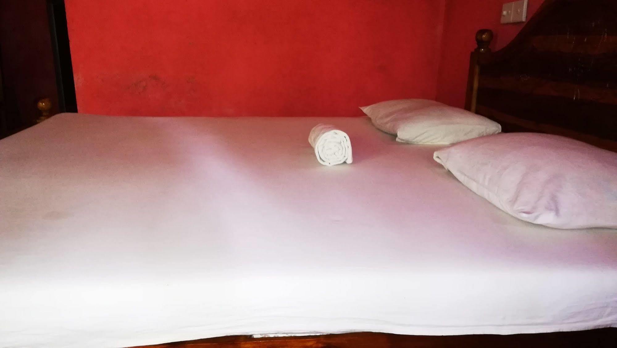 Bluesky Guest House Дамбулла Экстерьер фото